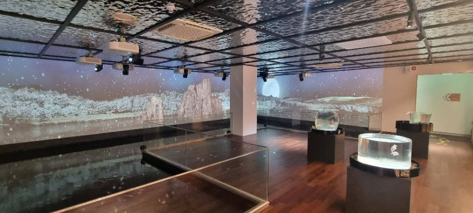 단양 다누리아쿠아리움