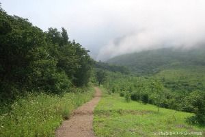 평창_오대산국립공원 (4)