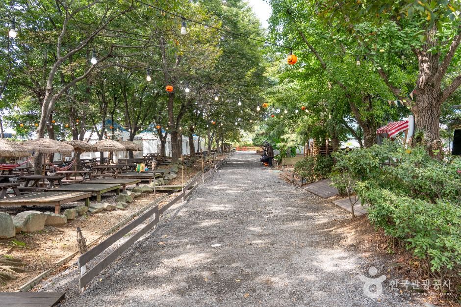 thumbnail-소풍동물원-5