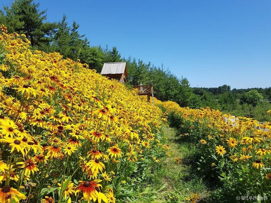 뒷뜨루관광농원