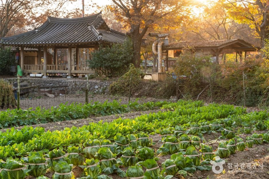 용인_한국민속촌 (8)