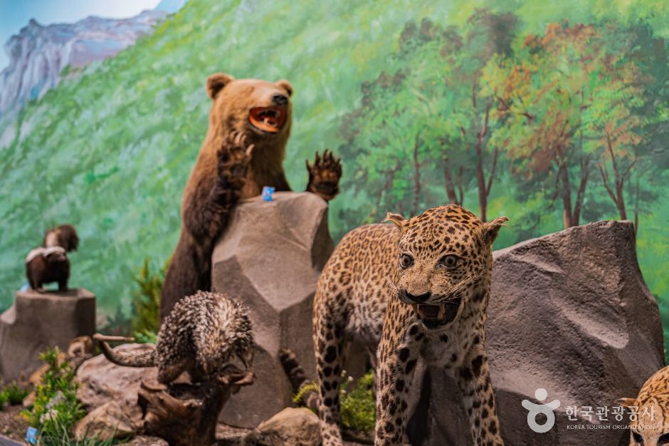 땅끝해양자연사박물관