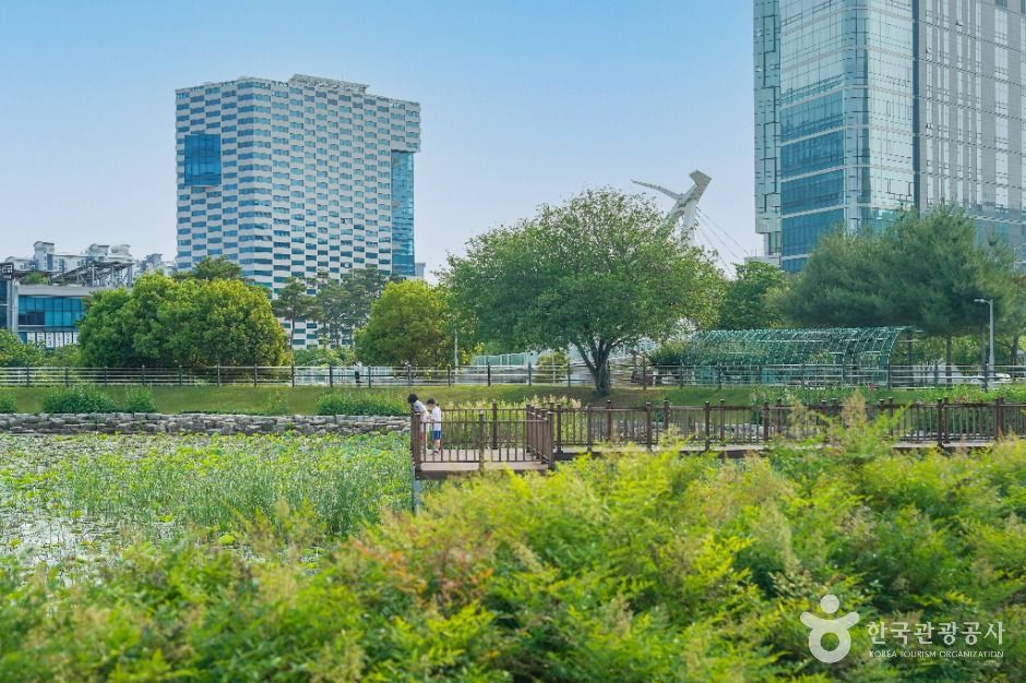 대구_신서 중앙공원 (6)