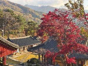 함양_벽송사(지리산) (5)