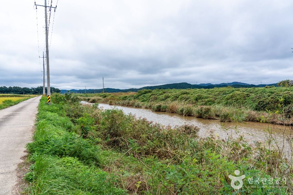 서산시_중왕리수로 (2)