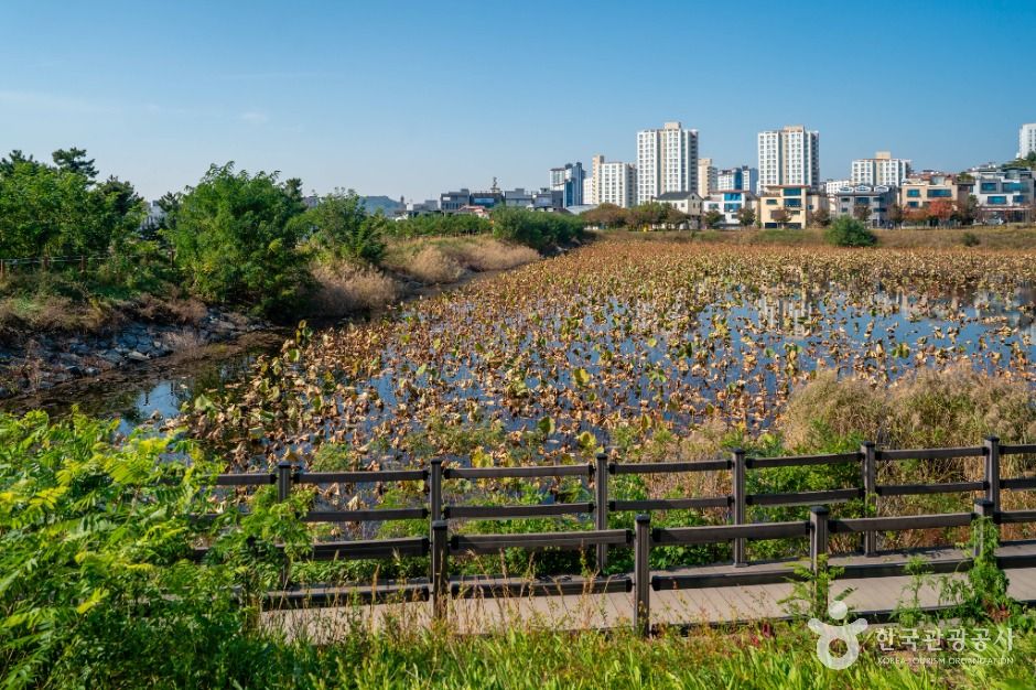 나불지 생태공원