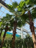 제천_아열대 스마트 온실 (4)