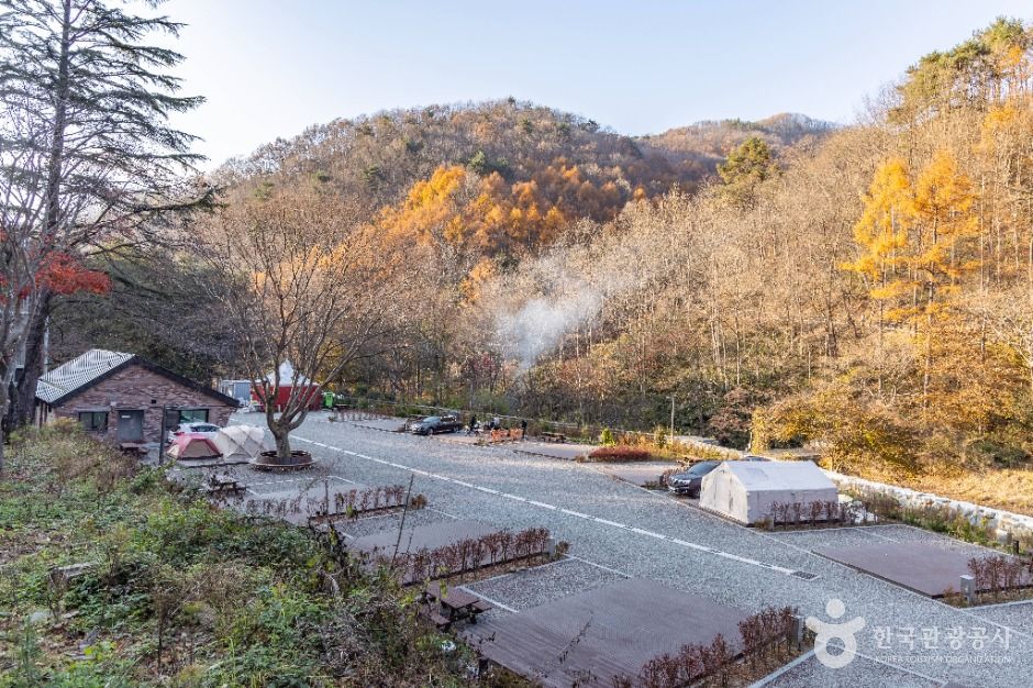 임실_왕의숲 국민여가캠핑장 (3)