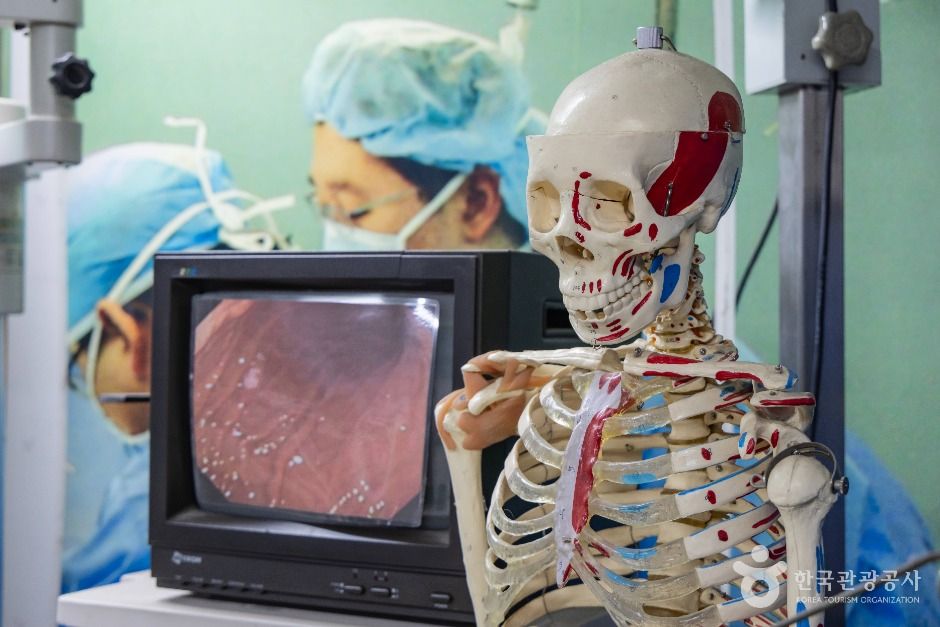 서울_한생연 생명과학박물관 (4)