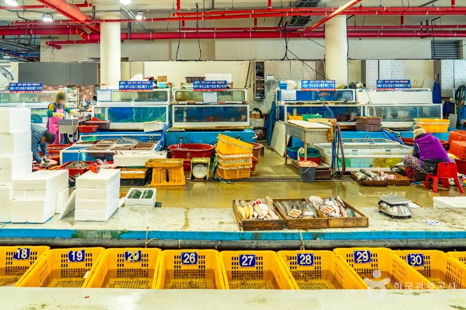 완도_완도 금일 수협활·선어위판장 (3)