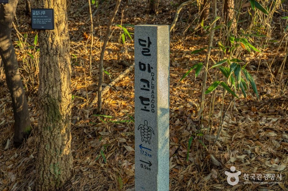 해남_달마고도 (4)