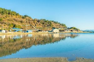 신흥해수욕장 전경 2