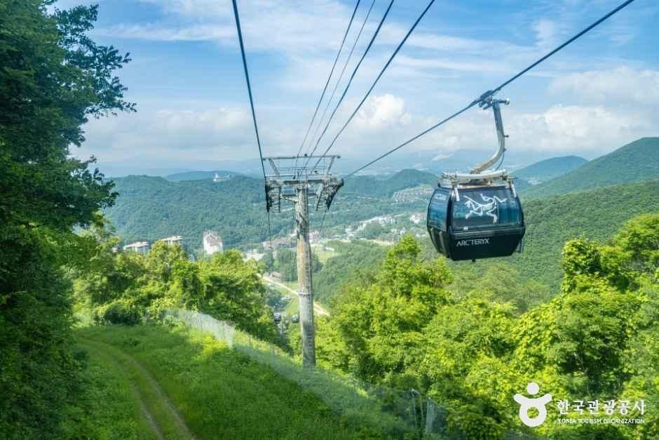 thumbnail-모나용평-3