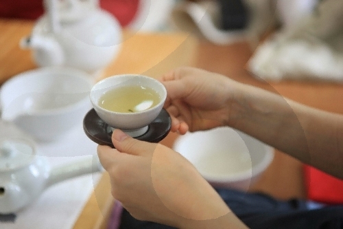 Teekulturzentrum Hadong (하동 차문화센터)