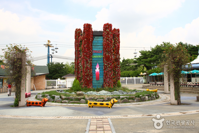 Seoul Grand Park (서울대공원-서울동물원)