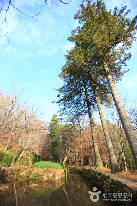 Seonamsa Temple - Suncheon (선암사-순천)