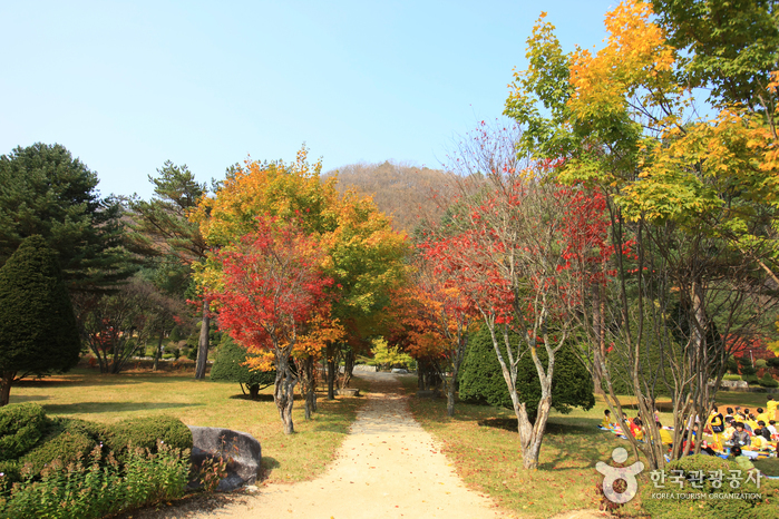 Eco Green Campus [Daegwallyeong Samyang Ranch] (에코그린 캠퍼스, 구 대관령 삼양목장)