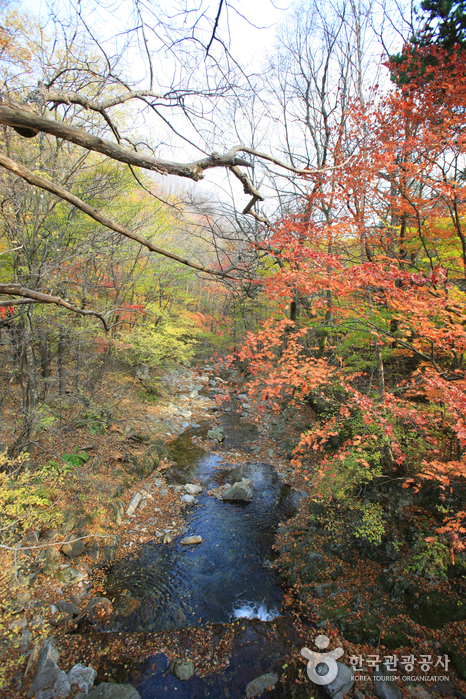 Odaesan National Park (오대산국립공원)
