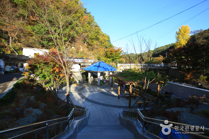 Dalgi Yaksutang (Mineral Spring) (달기약수탕)
