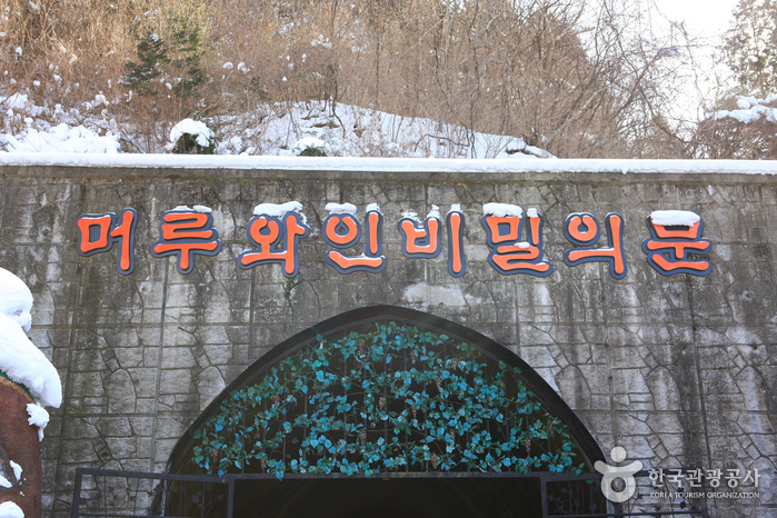 무주머루와인동굴