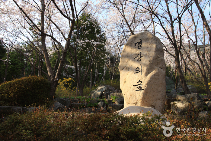 Парк скульптур на горе Чанбоксан (장복산조각공원)