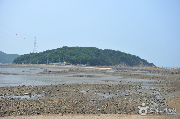 Jamjindo Island (잠진도)