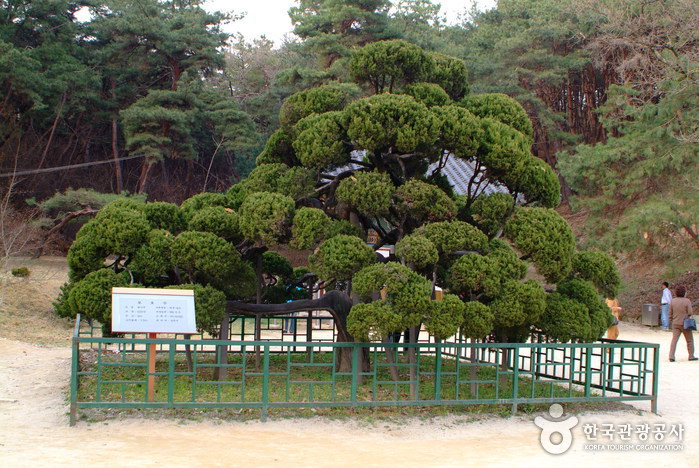 Silleuksa Temple (신륵사)