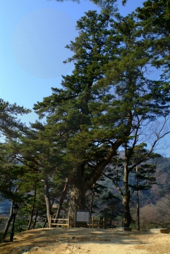 Haeinsa Temple (해인사)