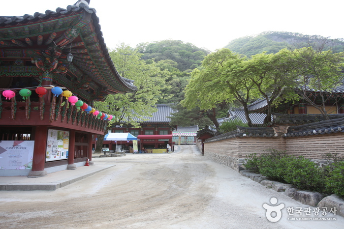 Temple Baegyangsa (고불총림 백양사)