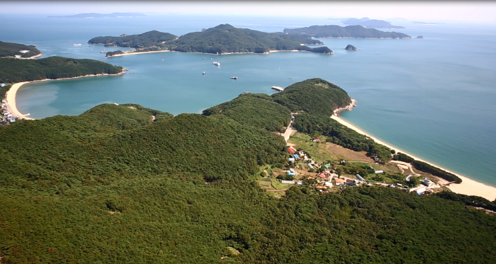 徳積島葦群生地（덕적도 갈대 군락지）