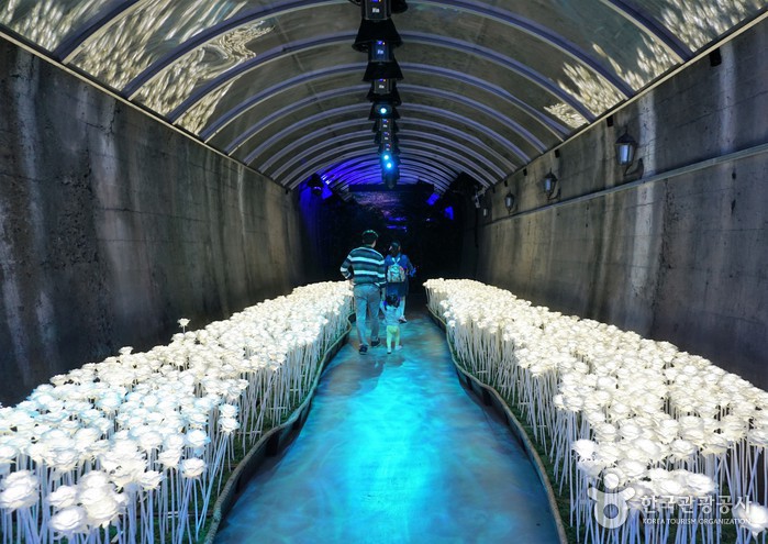 터널 입구의 LED 장미 꽃길