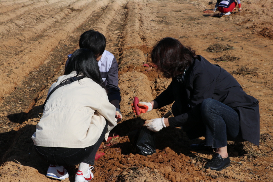 thumbnail-2024 국제종자박람회-1