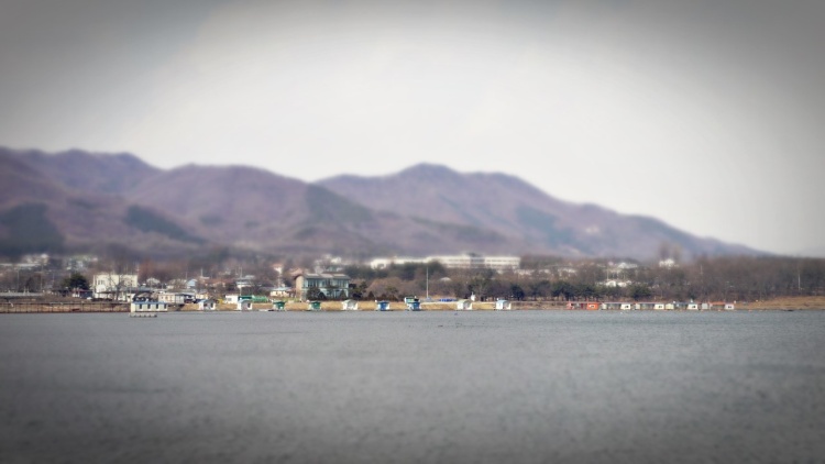 Yongdam Fishing Area (용담낚시터)