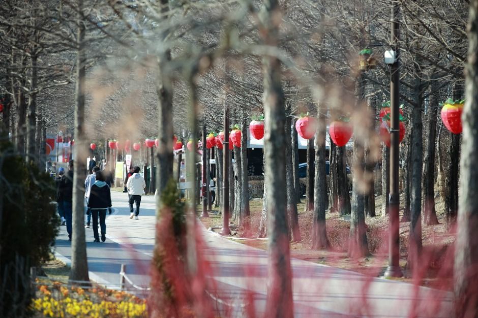 2025 논산딸기축제(6)