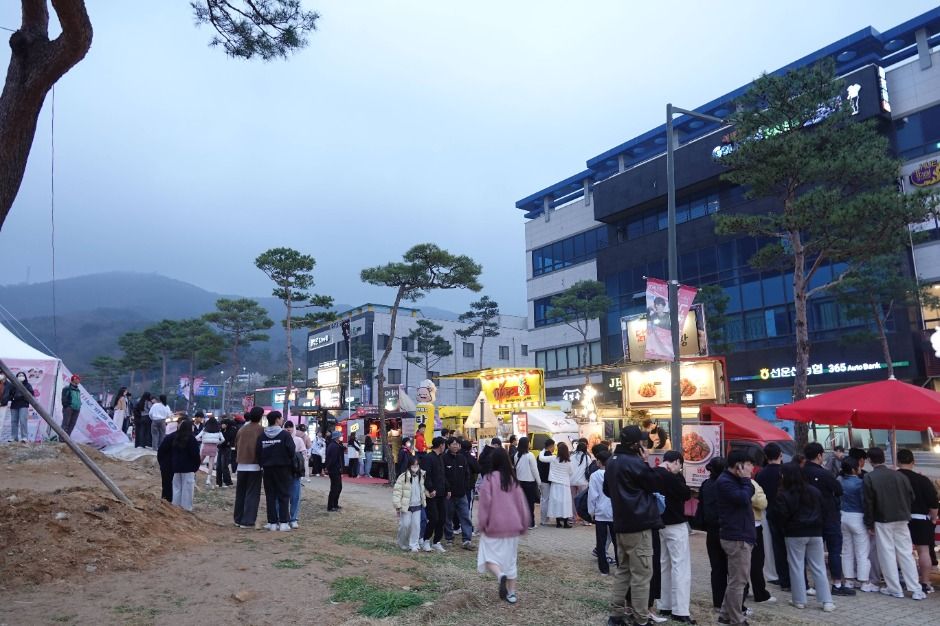 고창 벚꽃축제