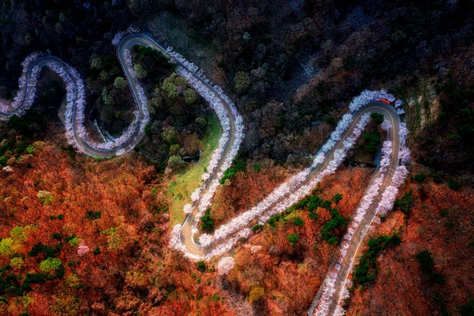 자굴산