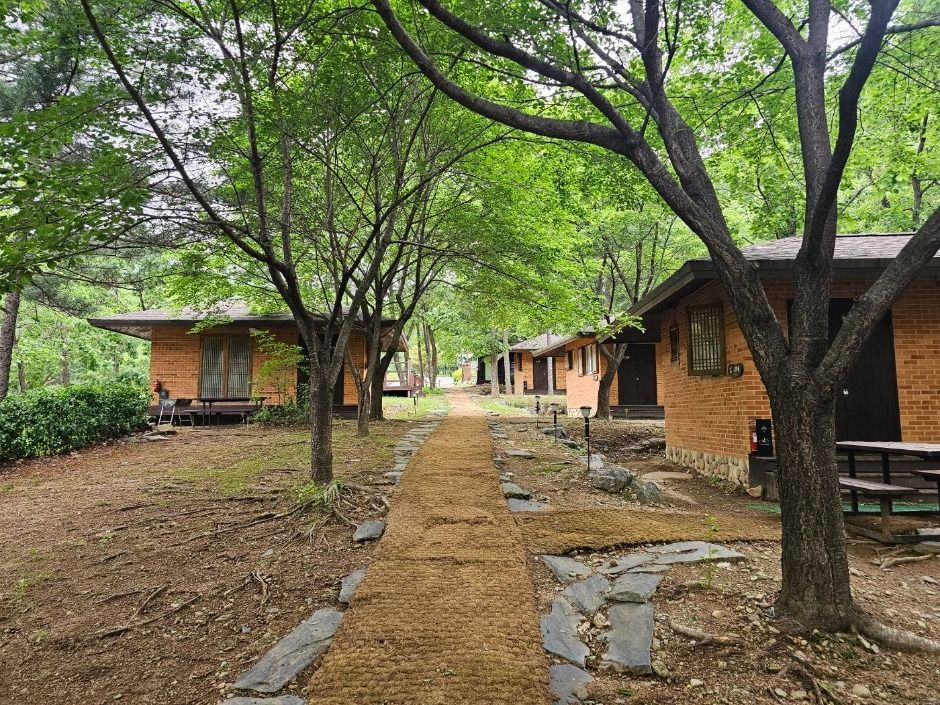 천보산 자연휴양림