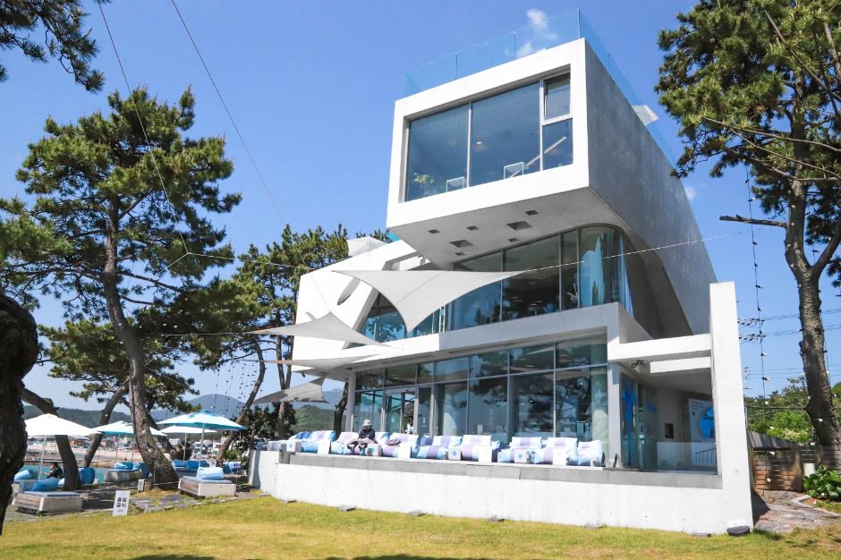 웨이브온 커피