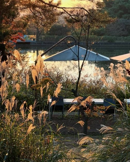 thumbnail-남원 아담원-31