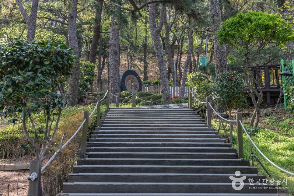 부산 암남공원
