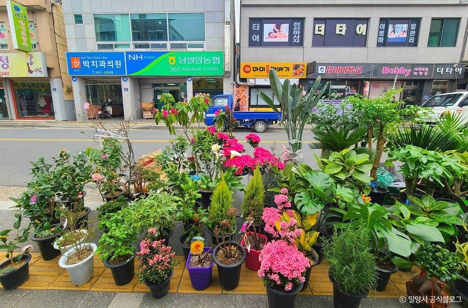 수산시장(밀양)