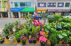밀양_수산시장 (4)