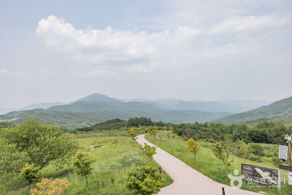 경주_경주 풍력발전(바람의언덕) (10)