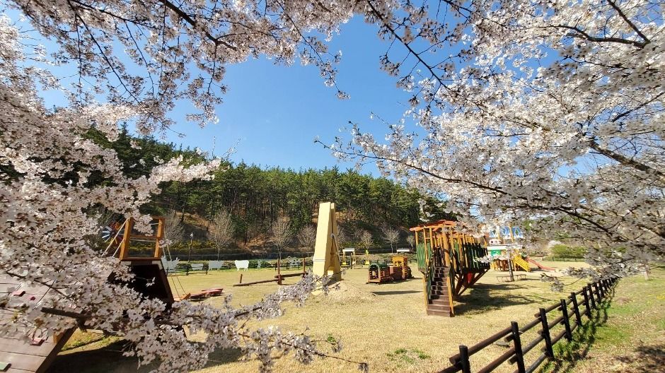 운주산승마자연휴양림