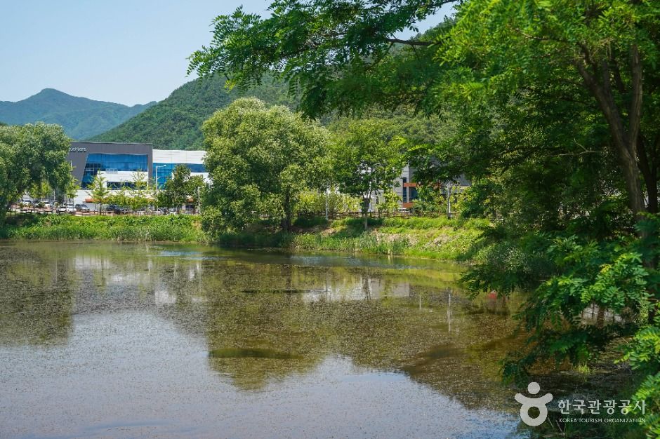 송호지공원
