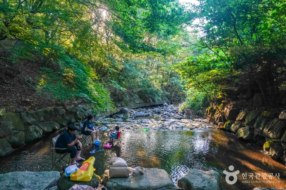 금화계곡