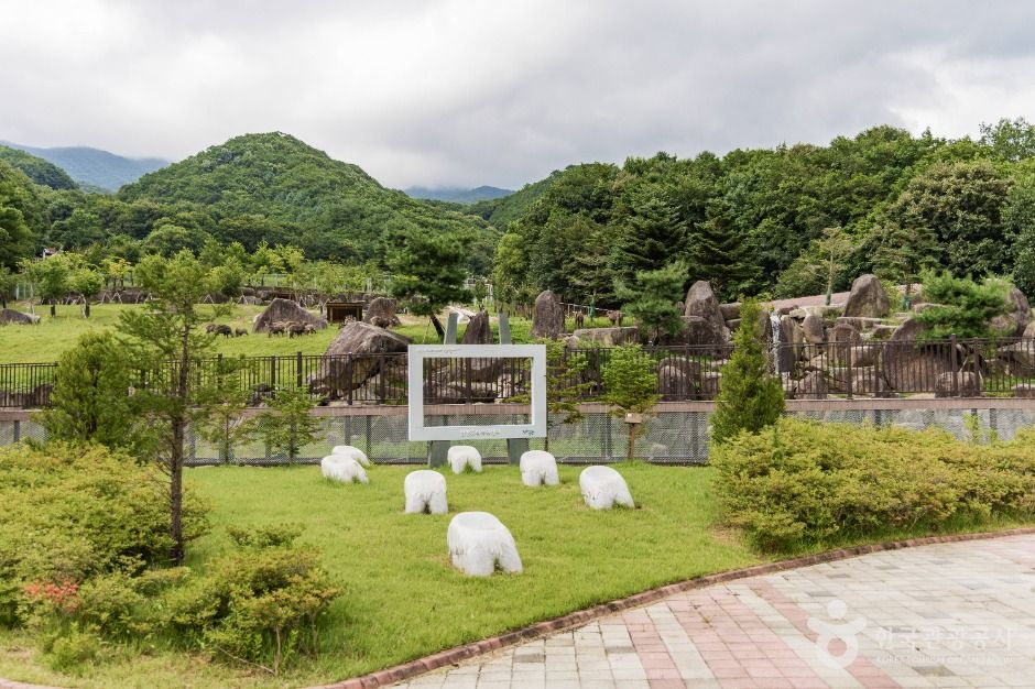 양구 산양·사향노루센터