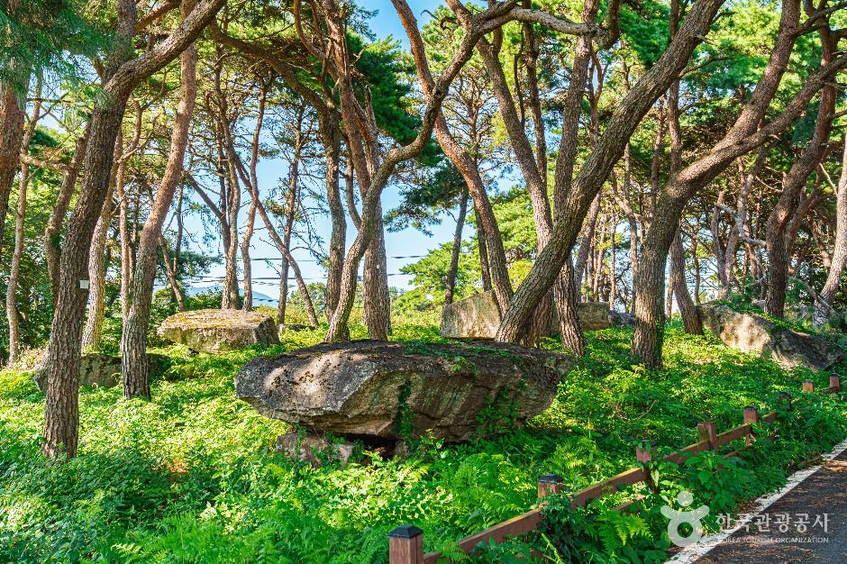 함평용월리지석묘군