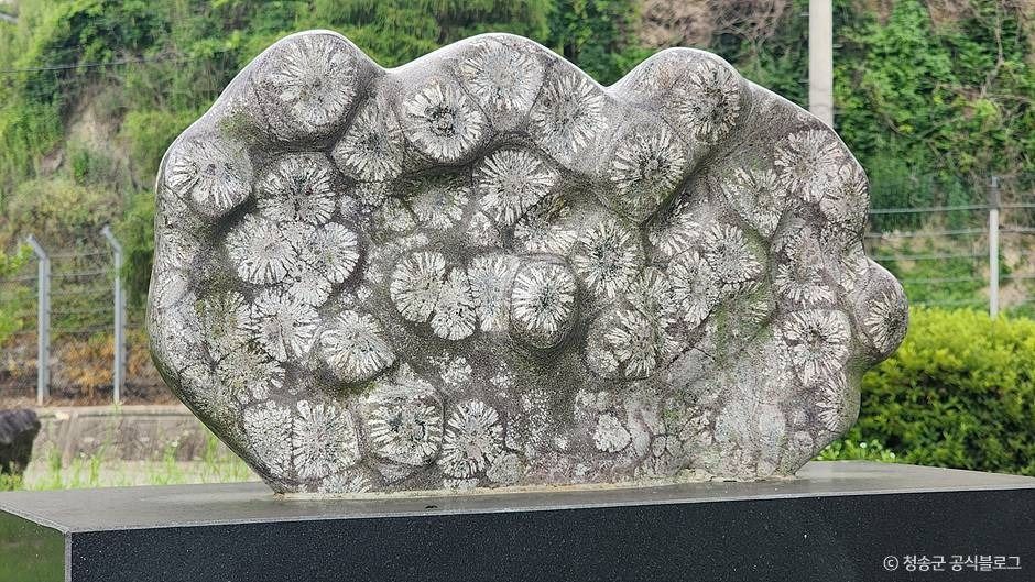 파천 구상 화강암 (청송 국가지질공원)