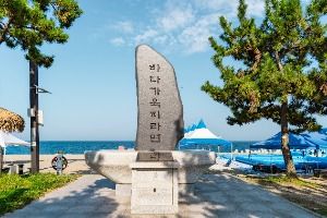 경주_나정고운모래해변 (5)